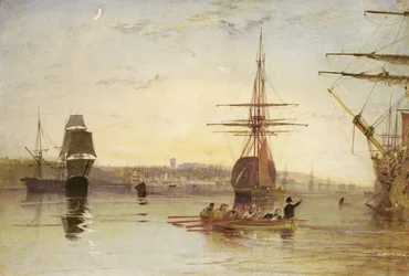 Cowes ocidentais